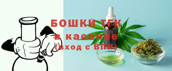 прущие грибы Невельск
