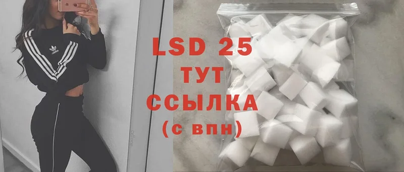 сколько стоит  Ершов  Лсд 25 экстази ecstasy 