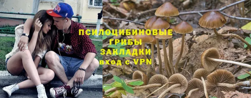 купить наркоту  hydra как зайти  Галлюциногенные грибы Psilocybine cubensis  Ершов 