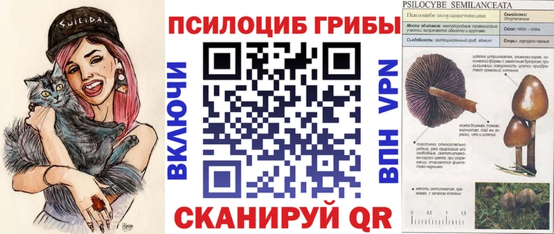 цены Ершов мега сайт darknet телеграм Галлюциногенные грибы GOLDEN TEACHER